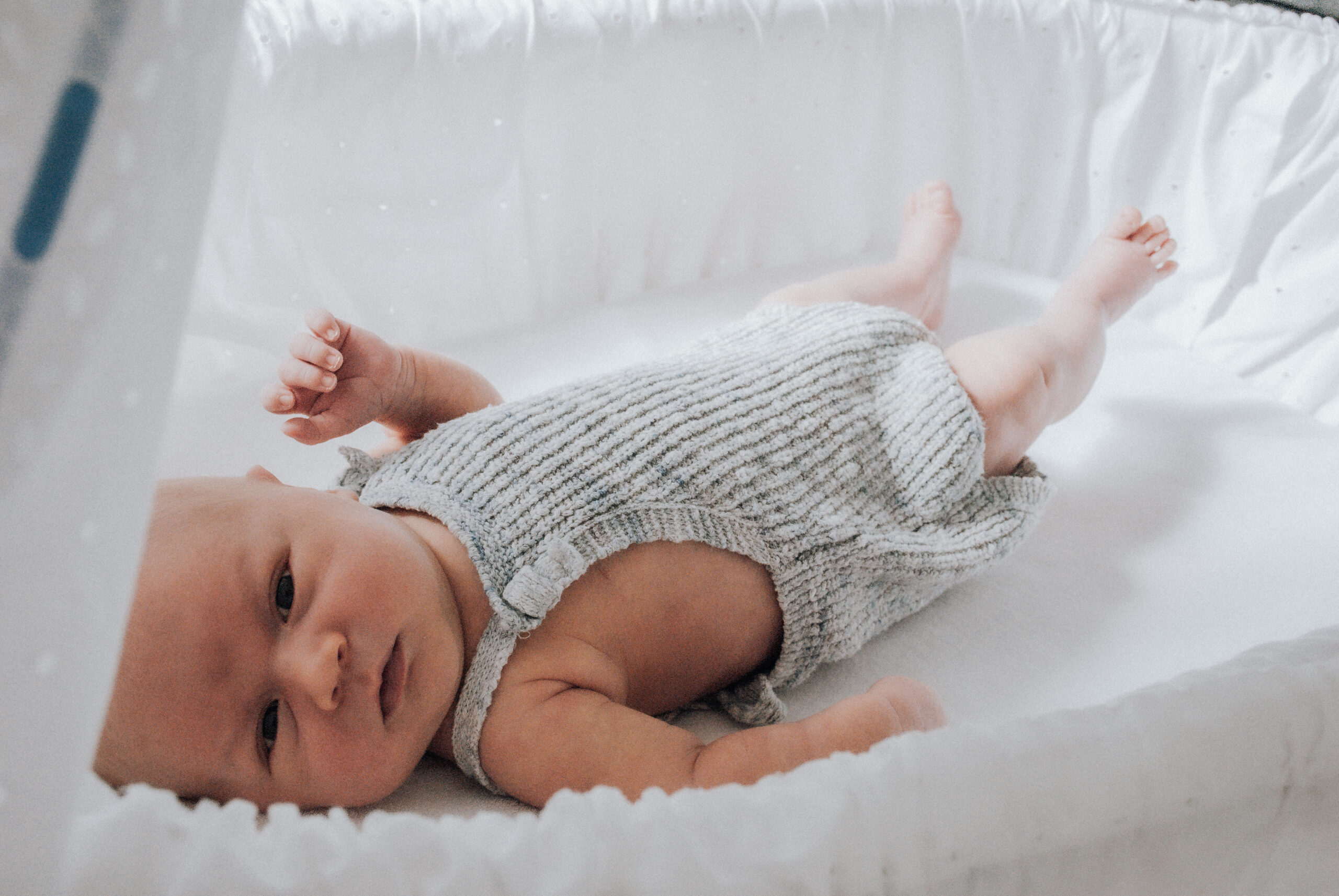 Newborn